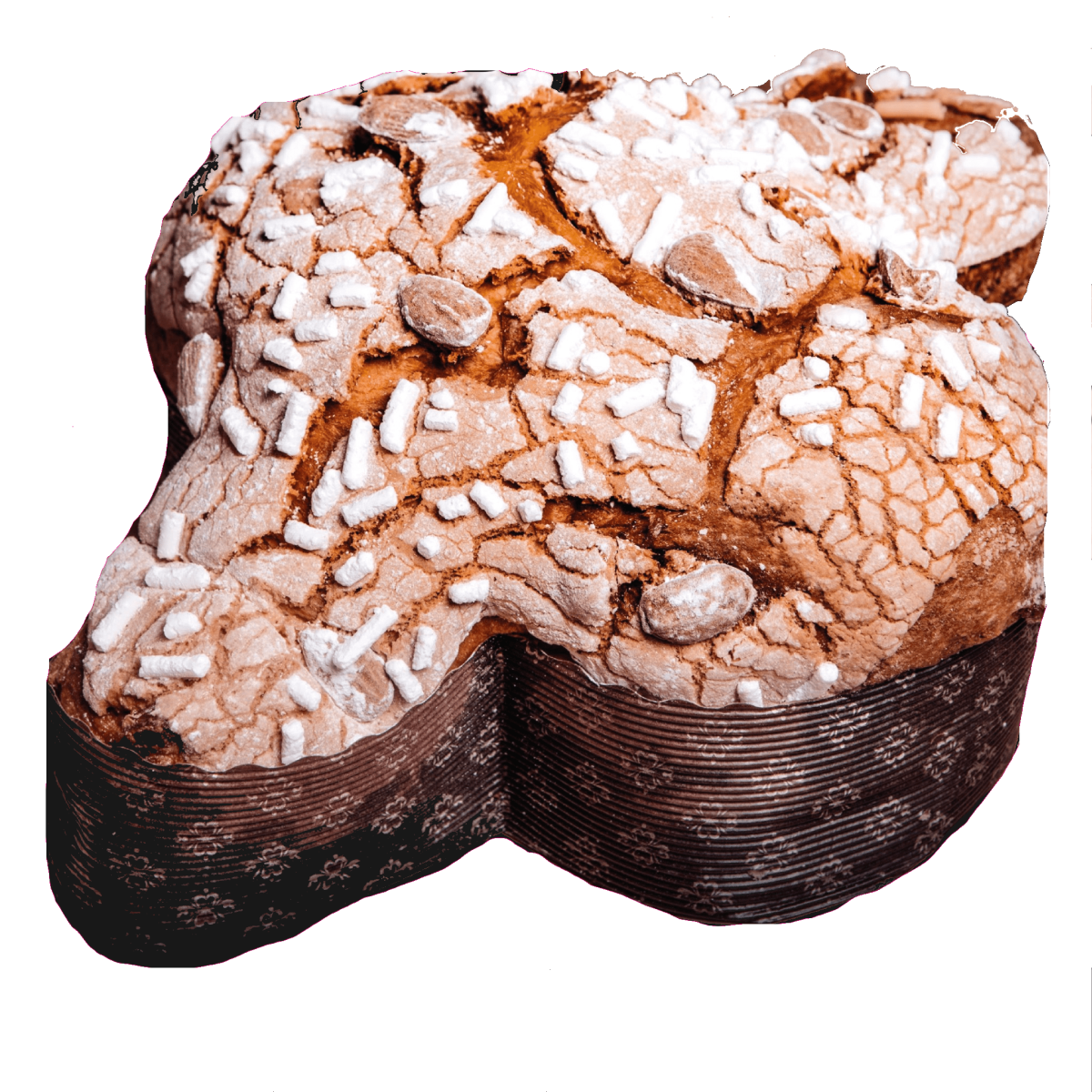 Panettone et Colombes